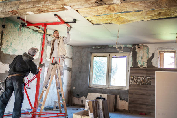 Best Insulation Removal  in Montrose, VA