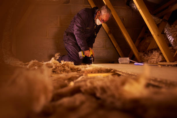 Best Attic Insulation Near Me  in Montrose, VA